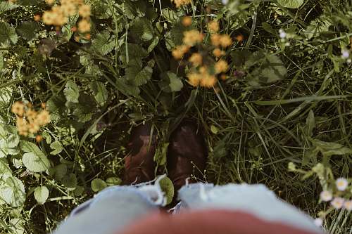 united states person stepped on green grass in front of yellow petaled flowers flora